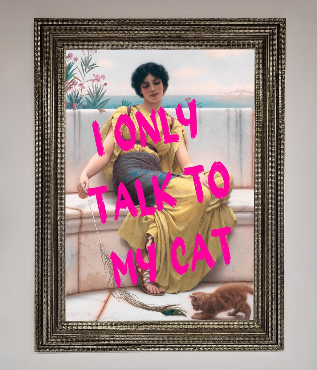 I Only Talk To My Cat Framed Wall Art-16