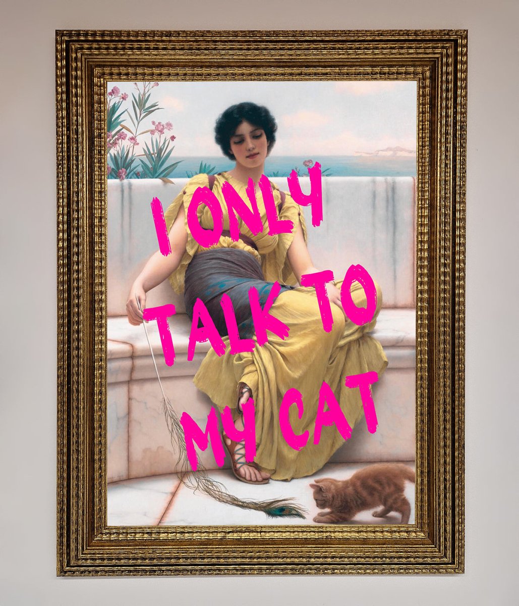 I Only Talk To My Cat Framed Wall Art-15