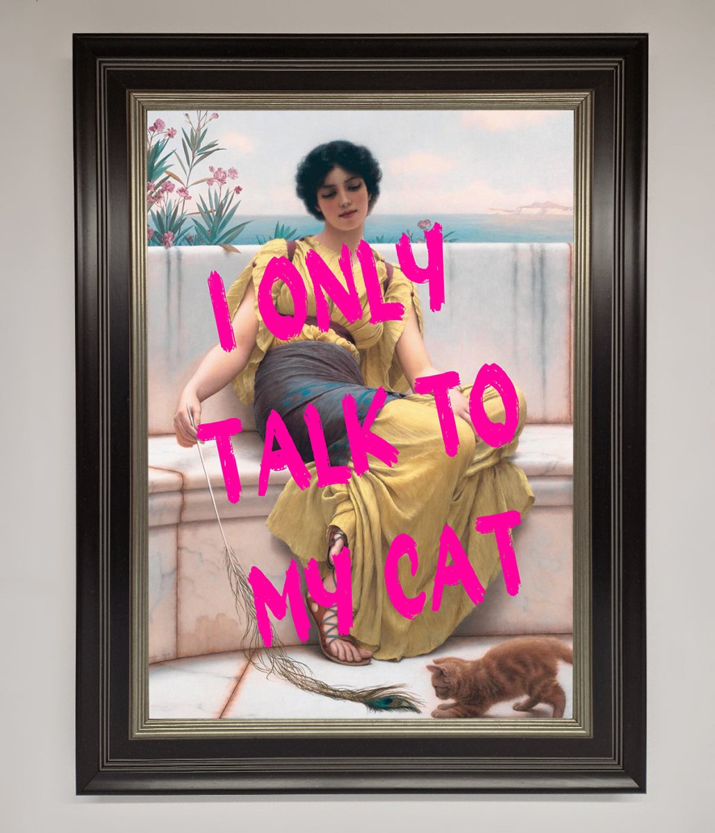 I Only Talk To My Cat Framed Wall Art-7