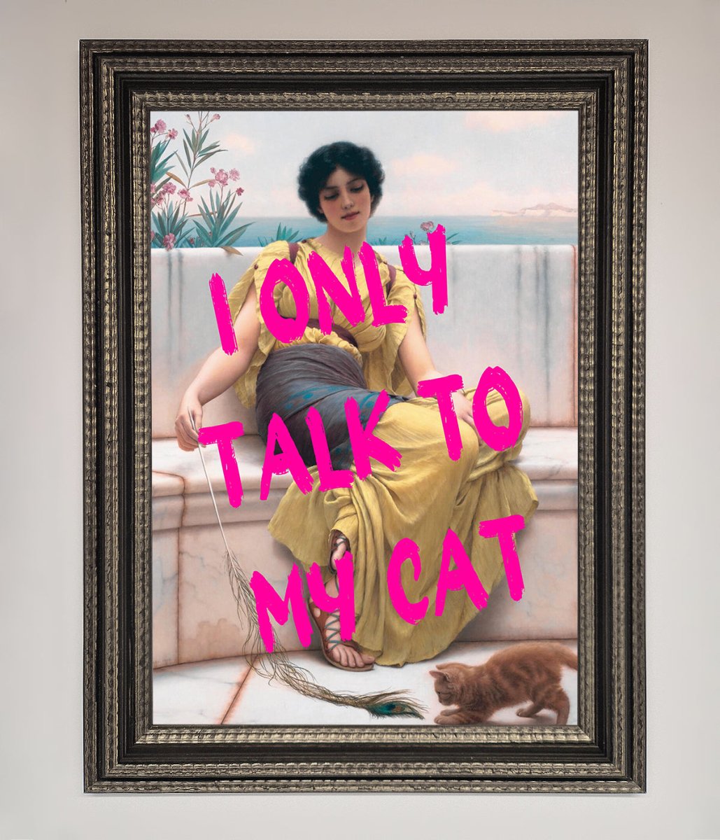 I Only Talk To My Cat Framed Wall Art-17