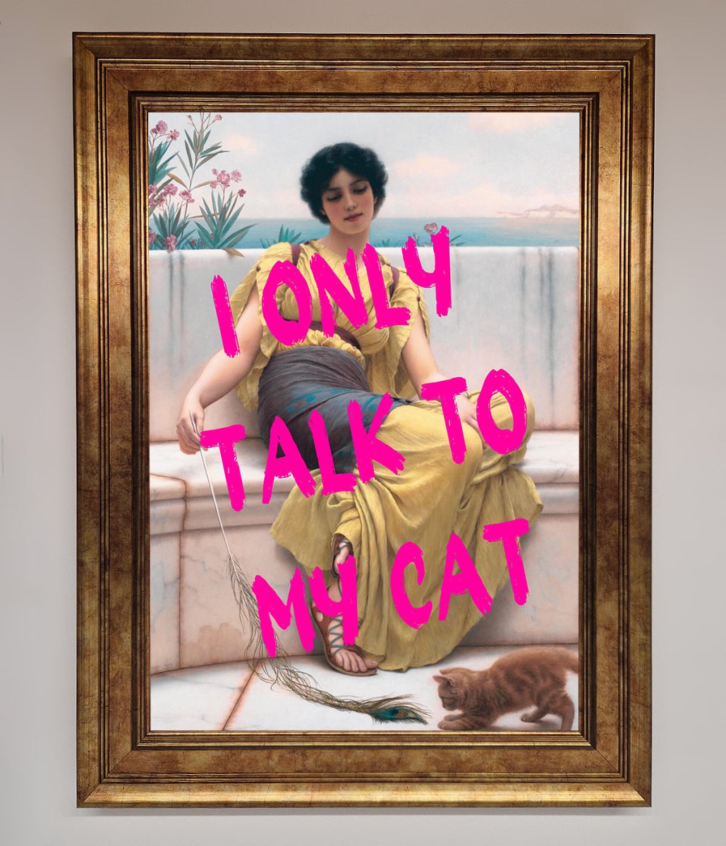 I Only Talk To My Cat Framed Wall Art-6