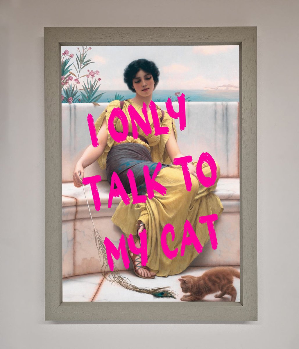 I Only Talk To My Cat Framed Wall Art-3