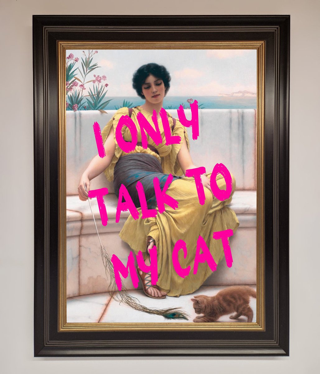 I Only Talk To My Cat Framed Wall Art-8