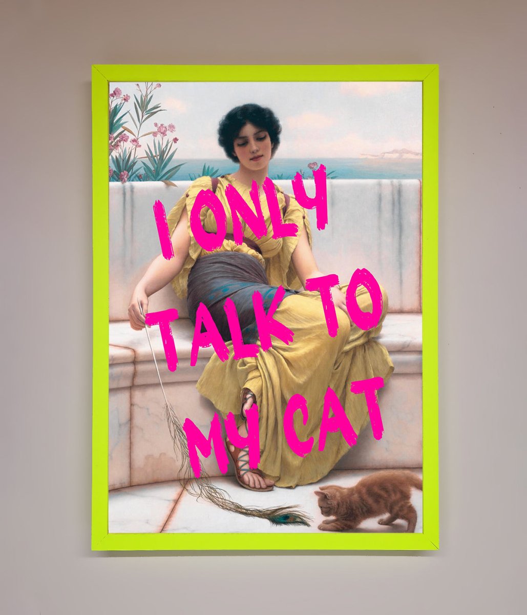 I Only Talk To My Cat Framed Wall Art-12